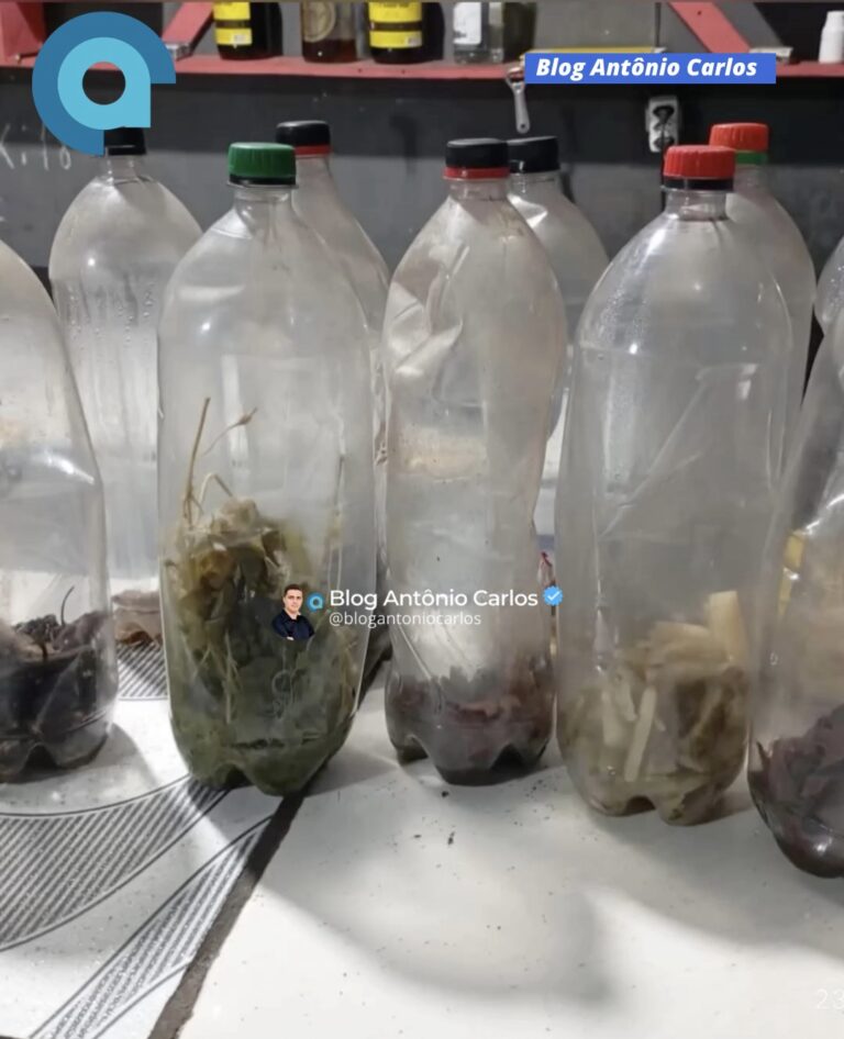 Operação integrada, em Campos Belos-GO, apreende mercadorias impróprias para consumo, arma de fogo e munições