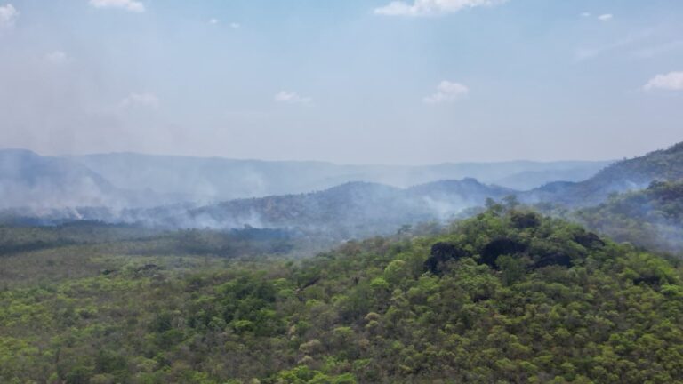 Bombeiros enfrentam terreno rochoso e vegetação espinhosa em incêndio em Nova Roma-GO