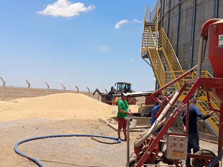 Trabalhador morre após cair em silo de soja em fazenda em Luís Eduardo Magalhães-BA