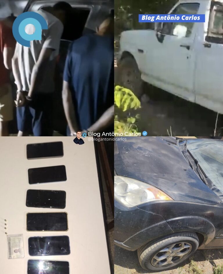 Após furto de caminhonete em Mambaí-GO, polícia prende 6 pessoas e recupera veículos escondidos em desmanche em Monte Alegre de Goiás
