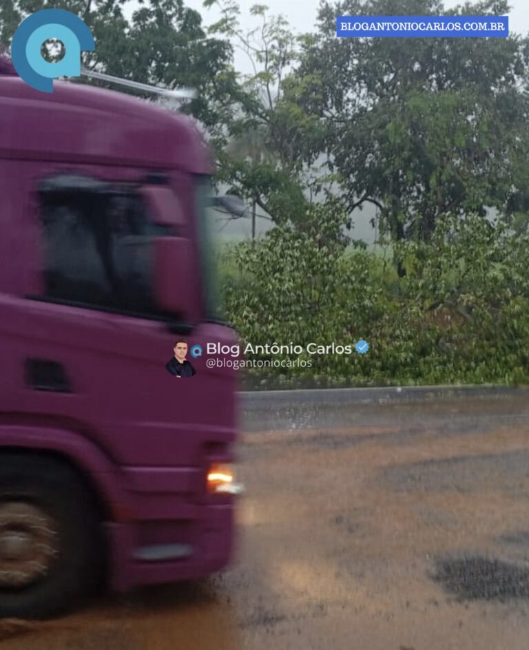 Árvore cai sobre a BR-020 após fortes chuvas e motoristas desviam pelo acostamento, próximo ao JK