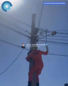 Gato é resgatado pelos Bombeiros após ficar preso em fiação no topo de poste, em Campos Belos-GO