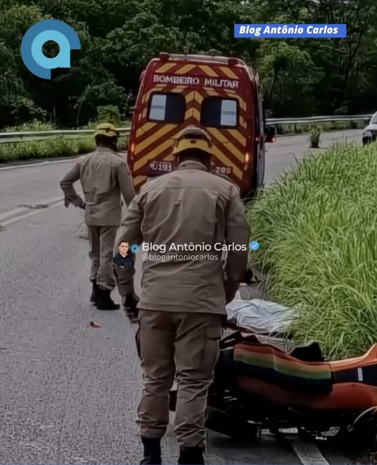 Motociclista morre após colisão com caminhão na GO-118, em Monte Alegre de Goiás