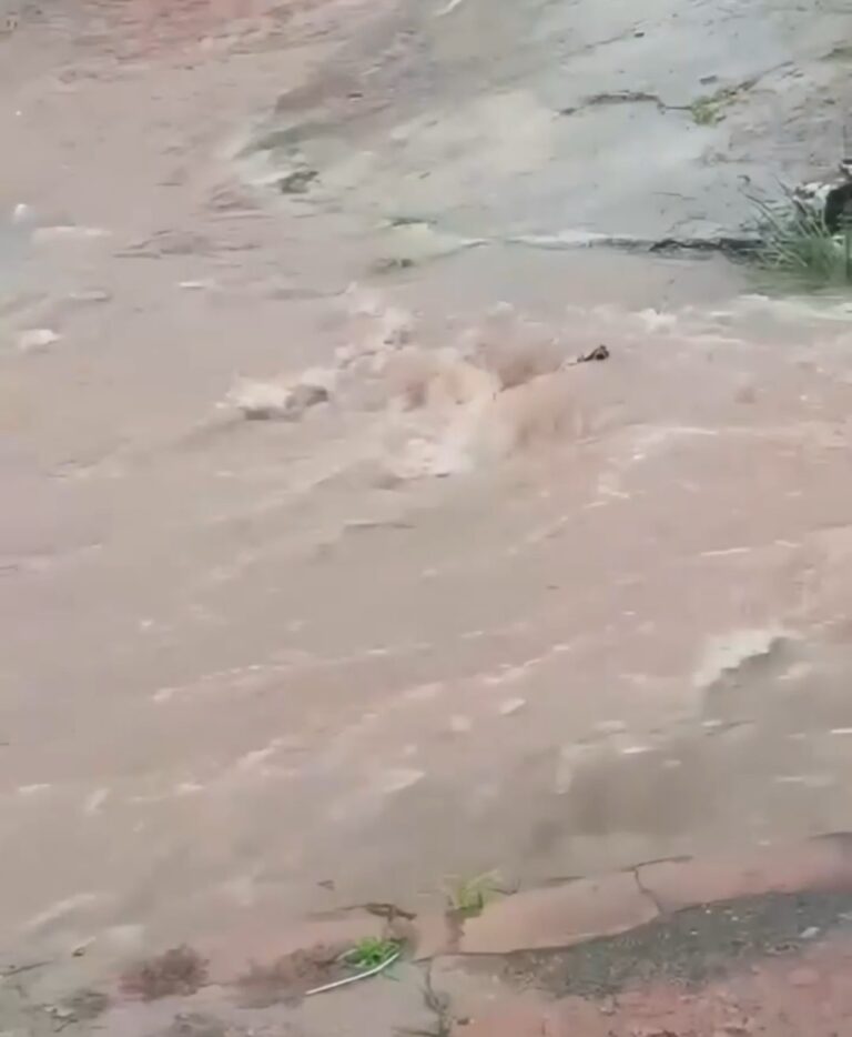 Vídeo mostra enxurrada cobrindo trecho onde carro caiu em buraco em rua de Posse-GO