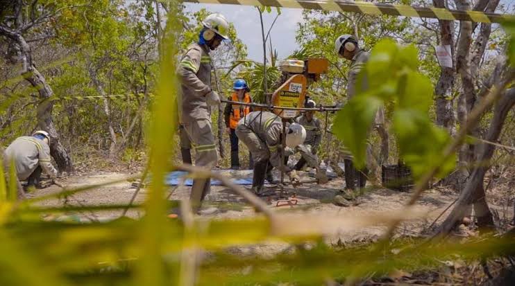 Mineradora recebe financiamento dos EUA para projeto de exploração de terras raras em Nova Roma-GO