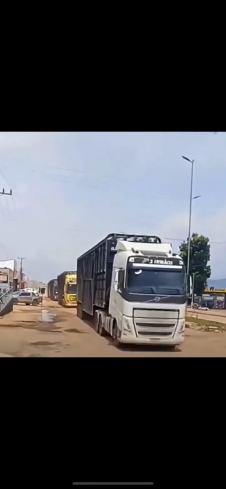 Comboio com mais de 20 carretas de bovinos com destino a Campos Belos-GO impressiona