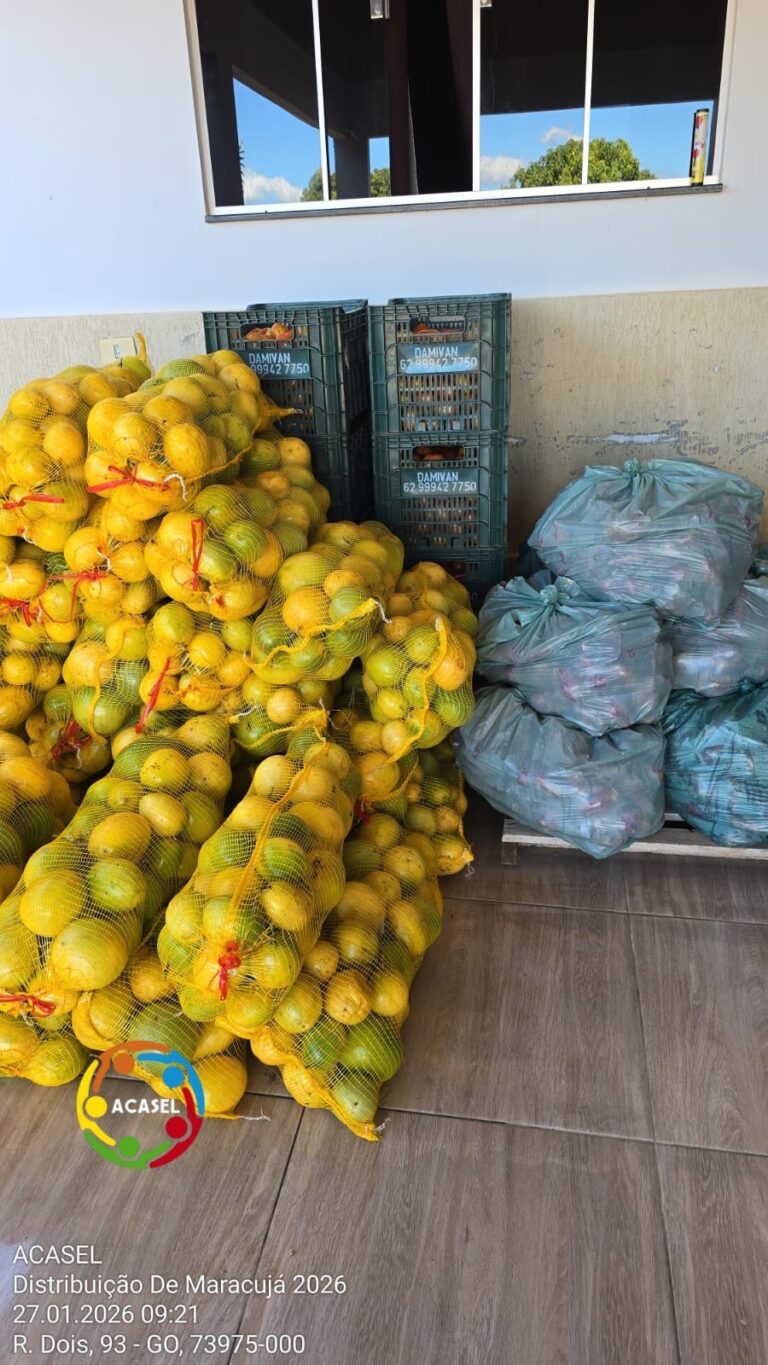 ACASEL realiza ação social com distribuição de alimentos da agricultura familiar em Buritinópolis-GO