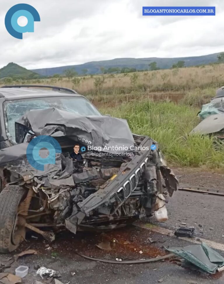 Grave acidente na BR-020 deixa dois mortos e ao menos sete feridos em Alvorada do Norte-GO