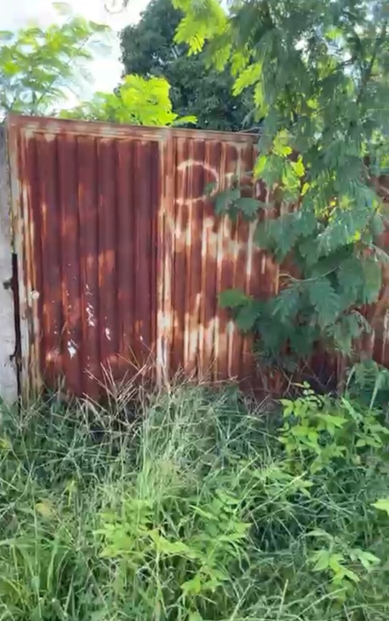 Moradores denunciam abandono de lote com mato alto e proliferação de ratos e escorpiões no centro de Simolândia-GO