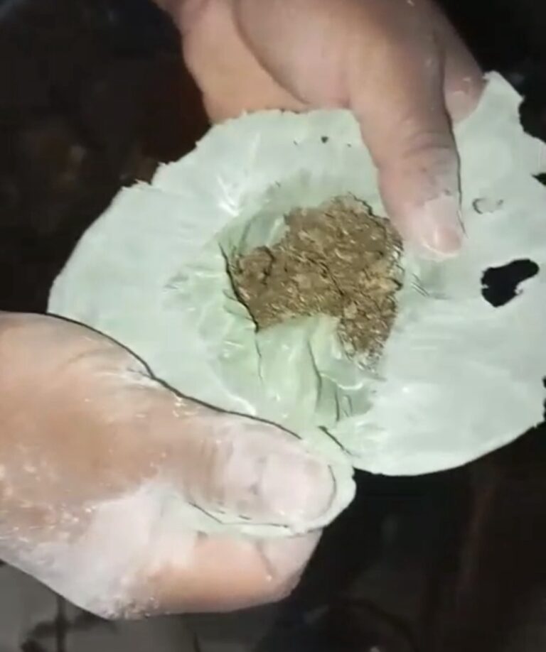 Polícia Civil cumpre mandado de busca e apreensão e prende suspeito por tráfico de drogas em Iaciara-GO