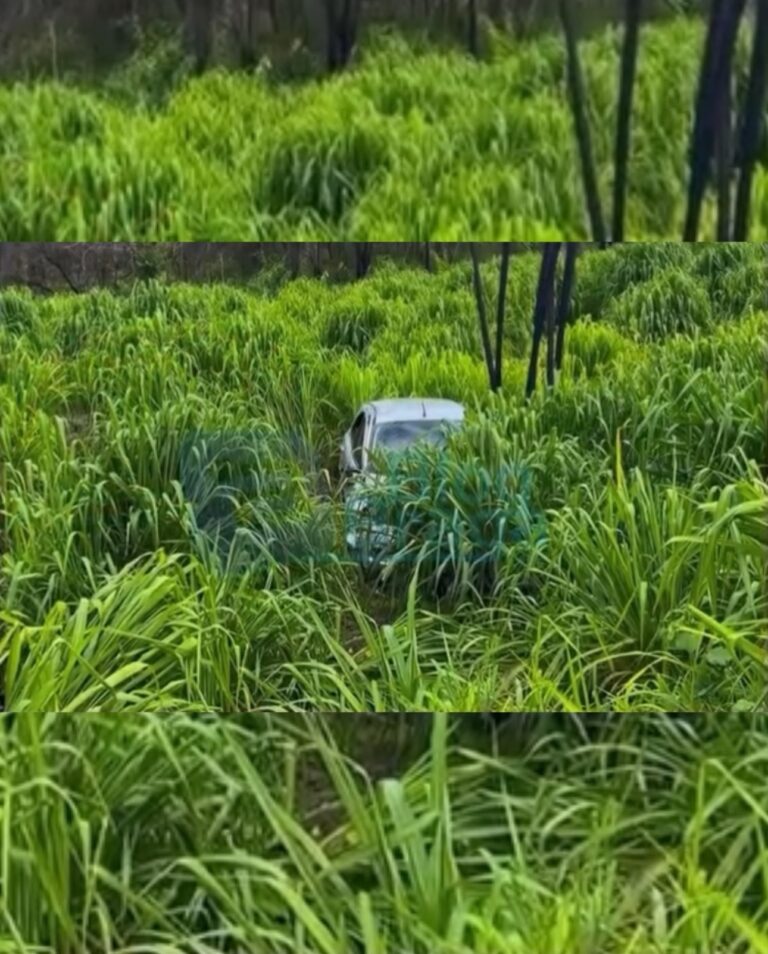 Capotamento na BR-020 deixa três feridos, um em estado grave, próximo a Roda Velha