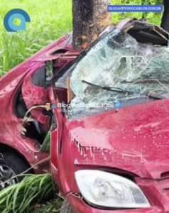 Carro sai da pista e bate em árvore na BR-020 próximo a Vila Boa-GO; passageira morre