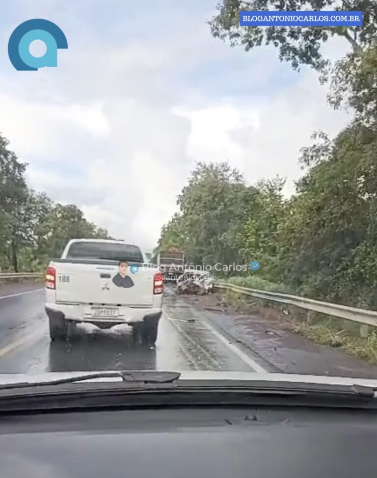 Ao menos duas pessoas morrem em grave acidente na BR-020, próximo a Vila Boa-GO