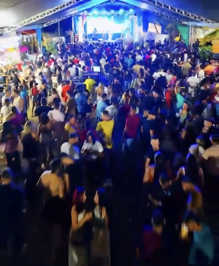 Foliões curtem primeira noite de Carnaval em São Domingos-GO