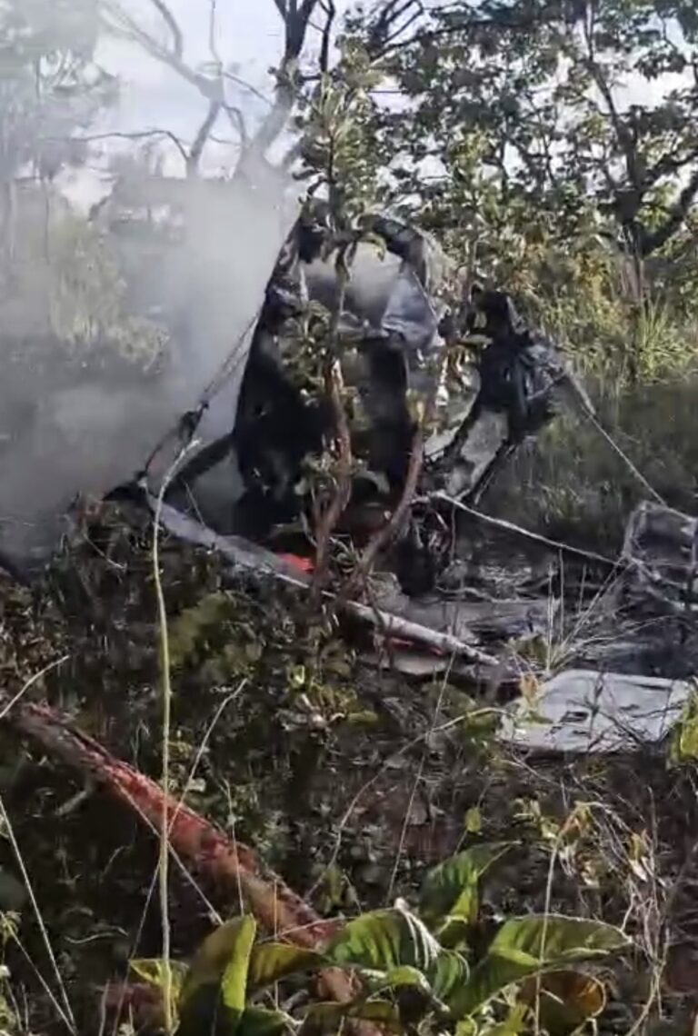 Piloto que sobreviveu a queda de avião em Formosa-GO foi socorrido por morador