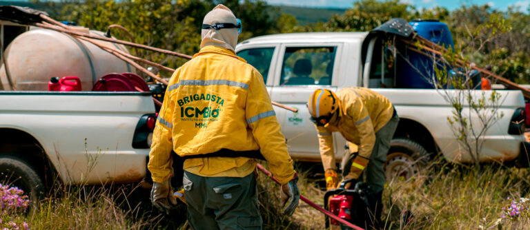 ICMBio abre processo seletivo para brigadistas em São Domingos-GO