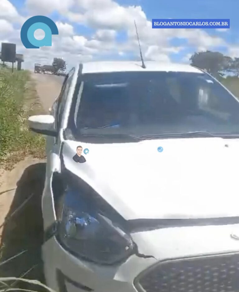Carros da mesma família se envolvem em acidente na BR-020, em Simolândia-GO