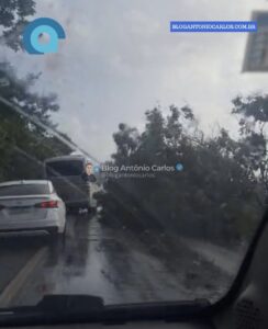 Árvores caem na pista e deixam trânsito lento na BR-020, próximo ao distrito de Santa Maria