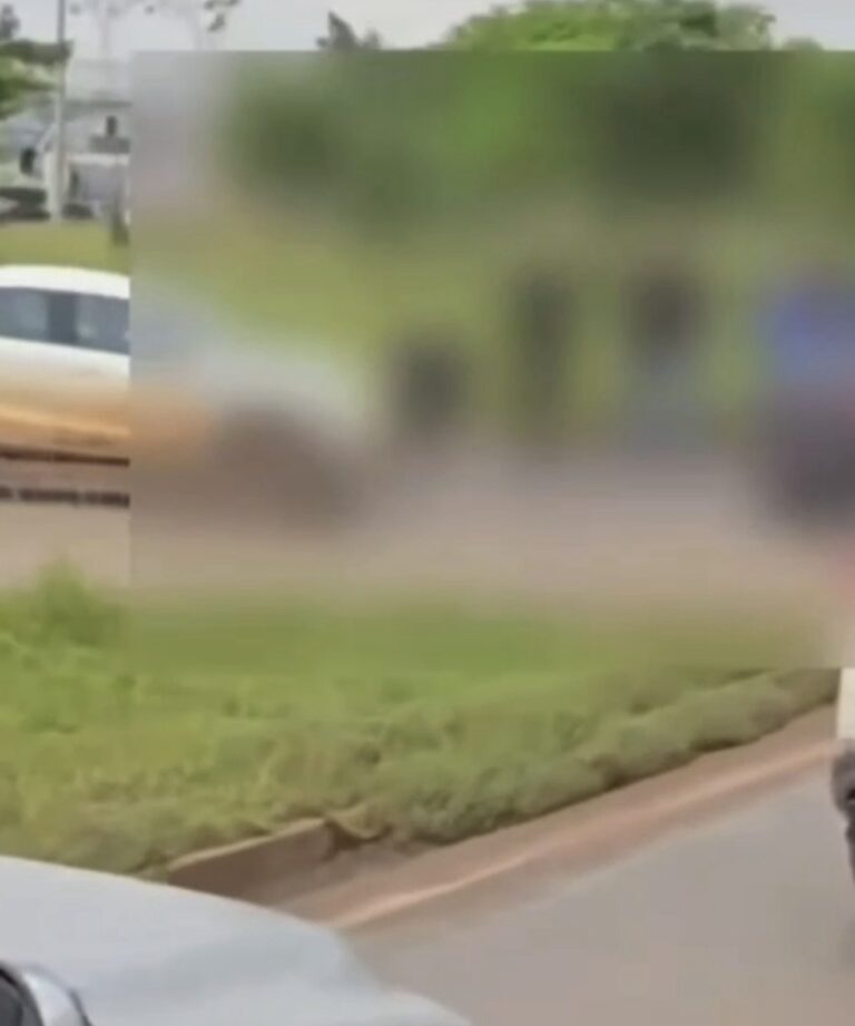 Ciclista morre após ser atropelado por carreta na BR-242, em Luís Eduardo Magalhães