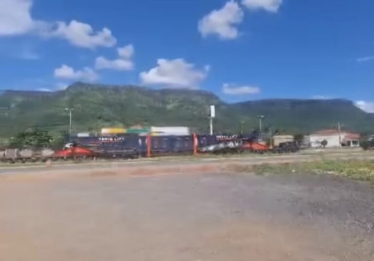 Transporte de carga especial provoca lentidão na BR-020, no trecho de Alvorada do Norte e Simolândia-GO