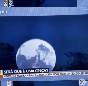 TV Anhanguera repercute vídeo de suposta onça na cidade de Posse-GO