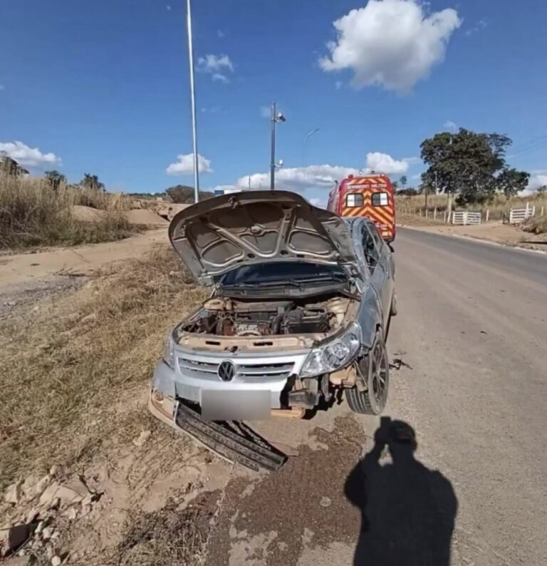 Acidente entre carro e cavalo é registrado na GO-118, em Campos Belos-GO