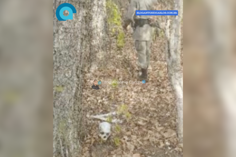 Ossada humana é encontrada em área de mata na zona rural de Iaciara-GO