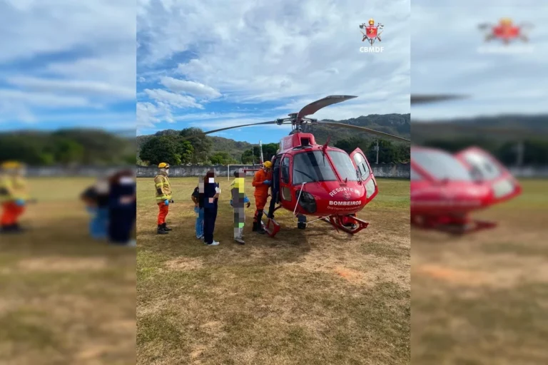 Criança de 4 anos é transferida de helicóptero após ser picada por jararaca em Cavalcante-GO