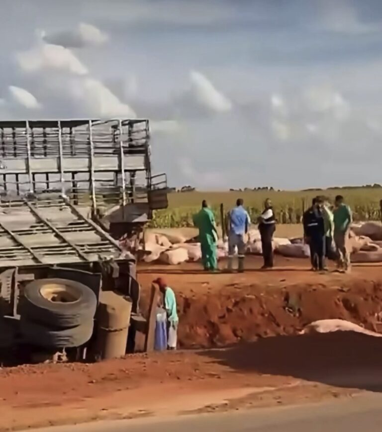 Carreta carregada com porcos tomba na BR-020, próximo ao Posto São Roque