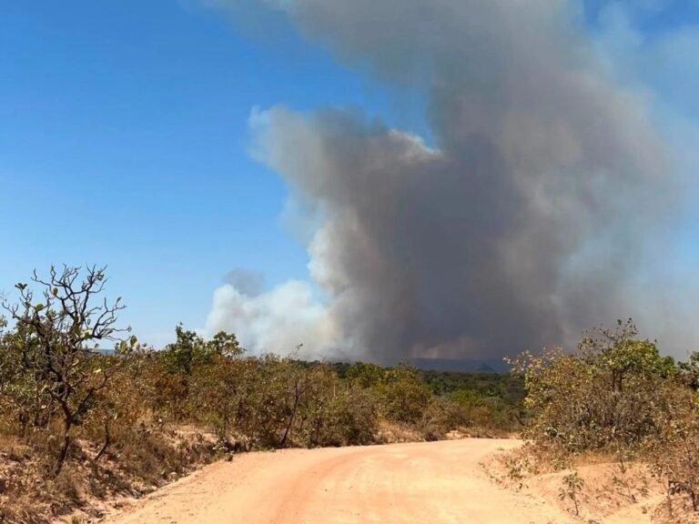 Incêndio no Parque Estadual de Terra Ronca é controlado
