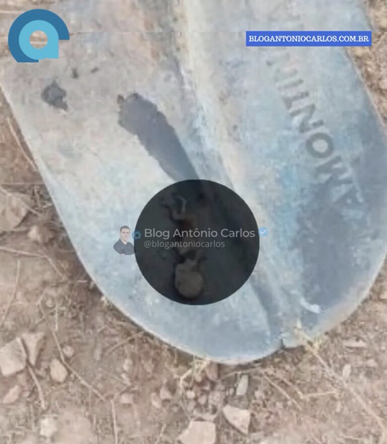 Feto humano é encontrado em rede de esgoto durante manutenção em Formosa-GO