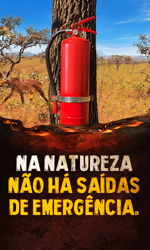 300X500PX-BANNER-SITE-EXTINTOR-DE-INCENDIO
