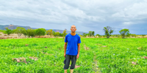 Com assistência da Emater, produtores de São Domingos-GO fornecem alimentos ao PAA Goiás