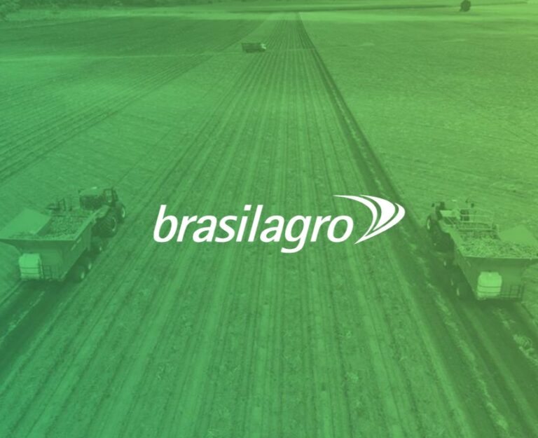BrasilAgro vende área de fazenda por R$ 78,8 milhões em Correntina