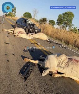 Carro bate em animais na GO-446 e motorista é levado ao hospital, em Iaciara-GO