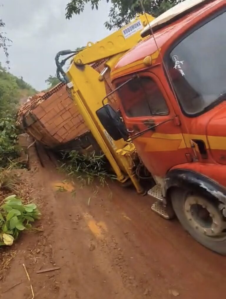 Parte traseira de caminhão carregado de tijolos cai em trecho danificado de ponte na GO-110, em São Domingos-GO